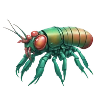 Adeyemi Momoh's profile picture