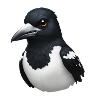 yang liao's profile picture