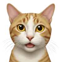 Ruixuan Zhang's profile picture