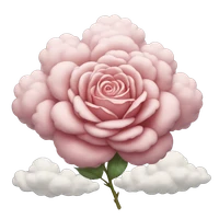 Wangyun's profile picture