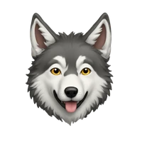 Boris Chen's profile picture