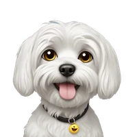 Yanjun's profile picture