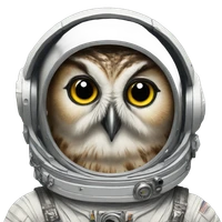 Gianni Gabriel's profile picture