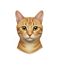 aiexport's profile picture