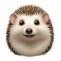 Saúl Buján Souto's profile picture