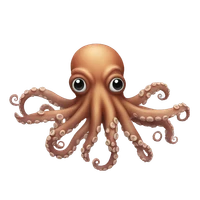 Manju Selvakumaran's profile picture