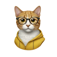 Minhui Zhu's profile picture