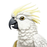 Geoffrey Pidcock's profile picture