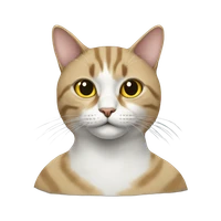 AsherysWang's profile picture