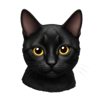 Minisal's profile picture