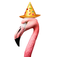 Junzhi Ning's profile picture