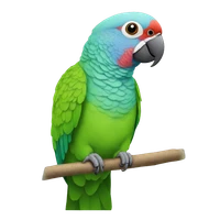 Ben Sprenger's profile picture