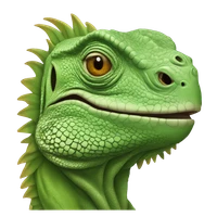 Yash's profile picture