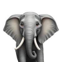 Sarah E Huebner's profile picture