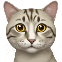 Takehiro Chida's profile picture