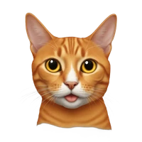 Juan Carlos Perez Nava's profile picture