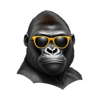 Joey Lommerse's profile picture