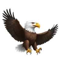 ankit sinha's profile picture