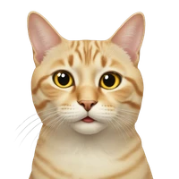 Ehsan Lari's profile picture