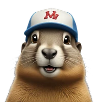 Stephen Briggs's profile picture