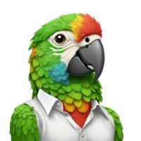 vola's profile picture