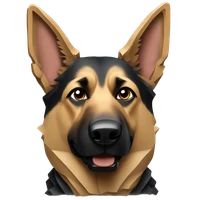 Praneeth Medepalli's profile picture