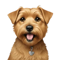 RyanH's profile picture