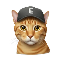 Wang Yanbo's profile picture