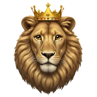 Dip Vijaykumar Patel's profile picture