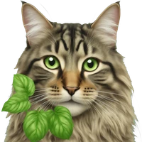 Jennifer Garland's profile picture