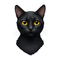 Jonggyu Park's profile picture