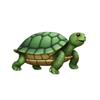 Jordan Ren's profile picture