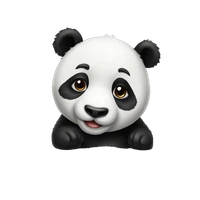 Yilin Cai's profile picture