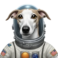 Horton Faint's profile picture