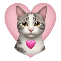 zhaosiyuan's profile picture