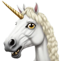 Enide's profile picture