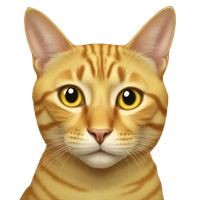 bartliznal's profile picture