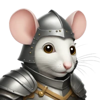 kang's profile picture