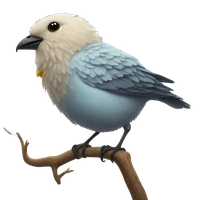 Jingyuan's profile picture