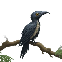 Daria Kryvosheieva's profile picture