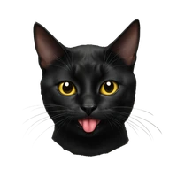 XiaoyuWang's profile picture