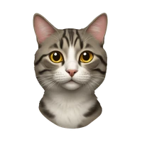 syb's profile picture