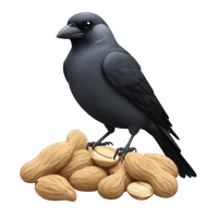 Florian Schreck's profile picture