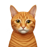 Ahsan Ullah's profile picture