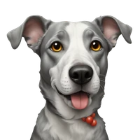 Endika Gandarias Blanco's profile picture