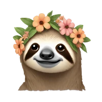 Jinfei Huang's profile picture