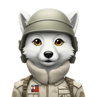 David Kim's profile picture