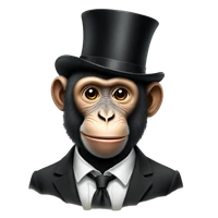 Alisa Wang's profile picture