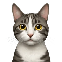 Xinze LI's profile picture