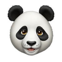 ali's profile picture